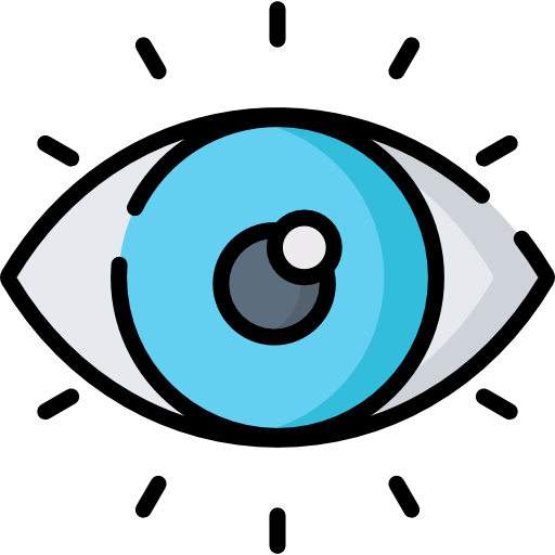 Eye